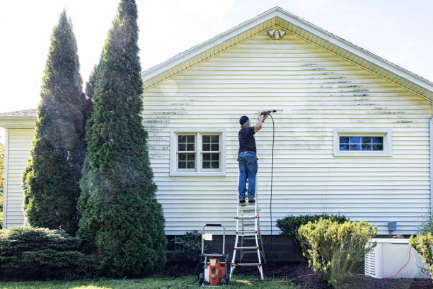 Professional Pressure Washing Services in Pike Creek Valley, DE